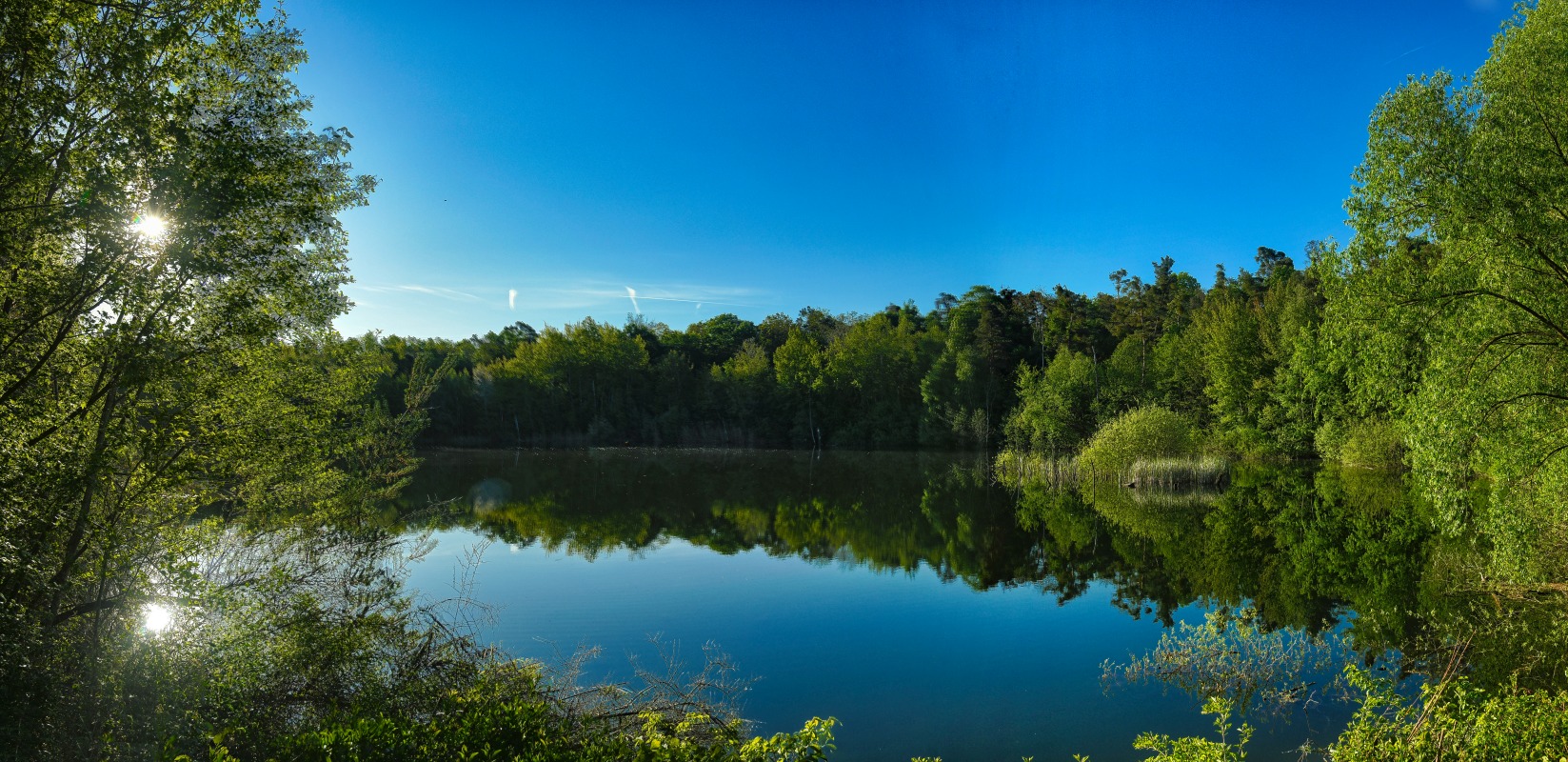 see_im_wald.jpg