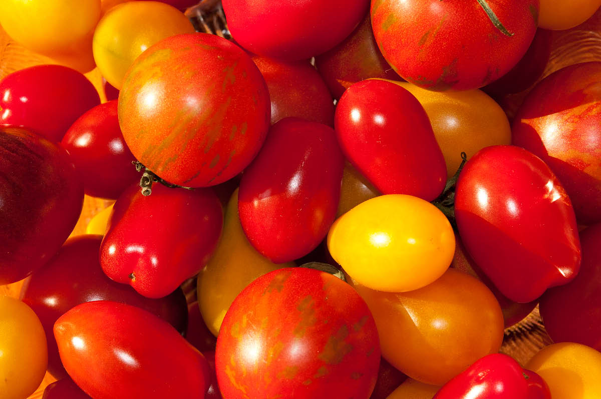 Sommertomaten.jpg