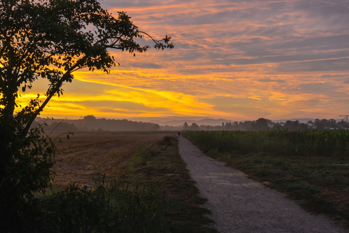 sonnenaufgang_1200.jpg