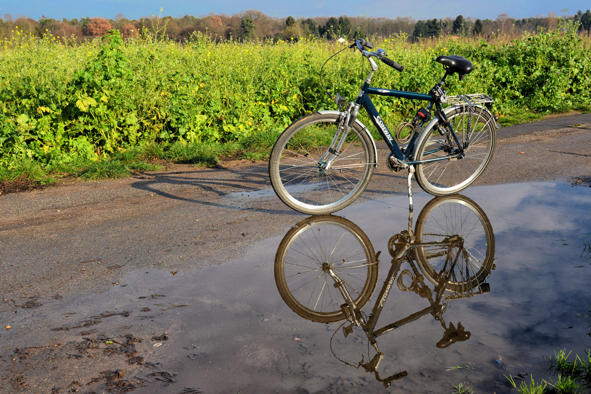 spielelung_fahrrad_pfütze.jpg