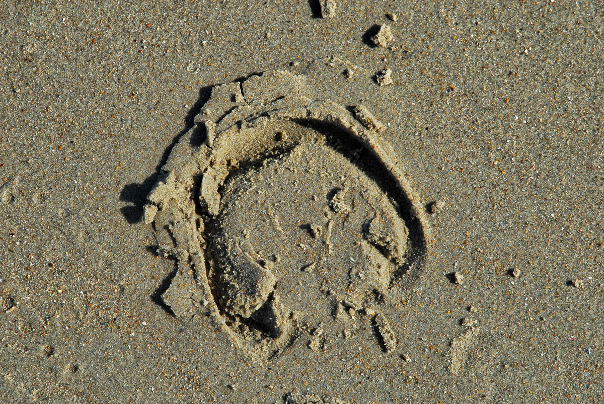 spuren_im_sand.jpg