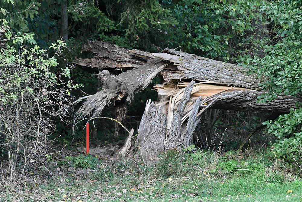 Störung 5 (2).jpg