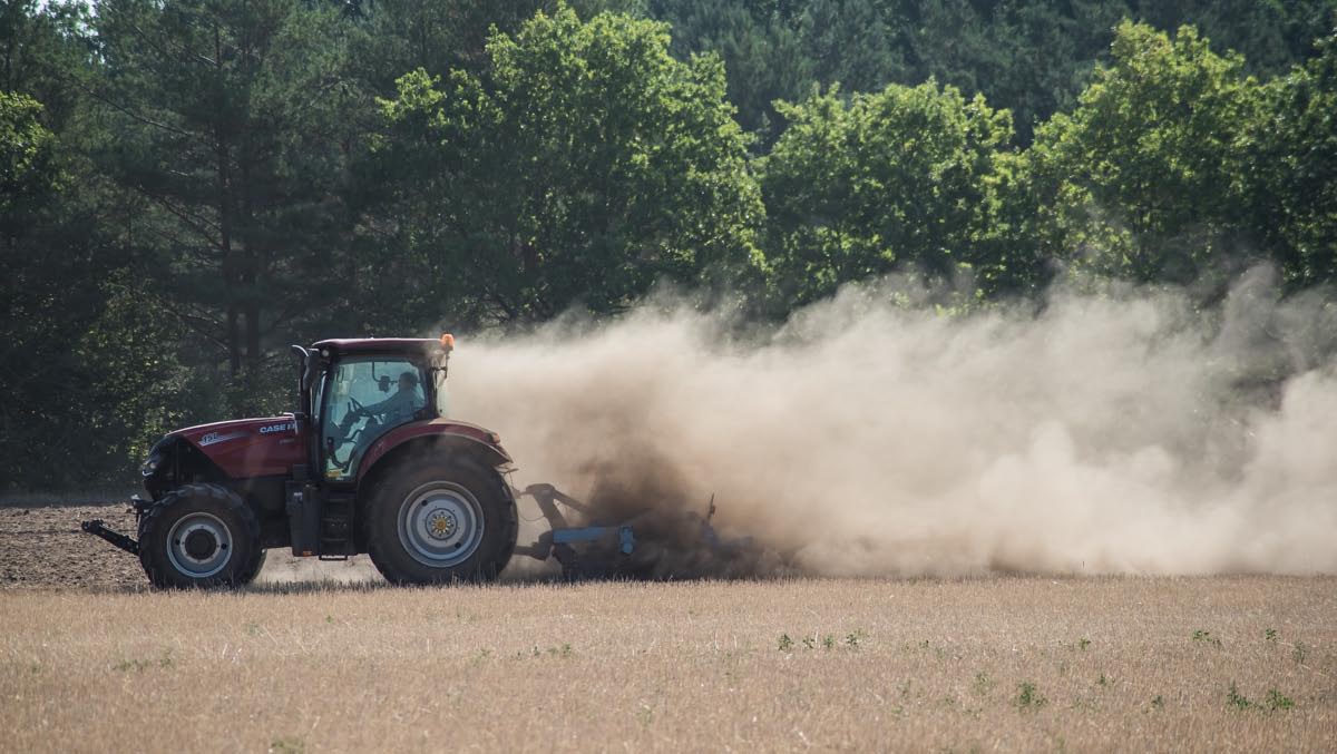 Staubtrocken 2 (1 von 1).jpg