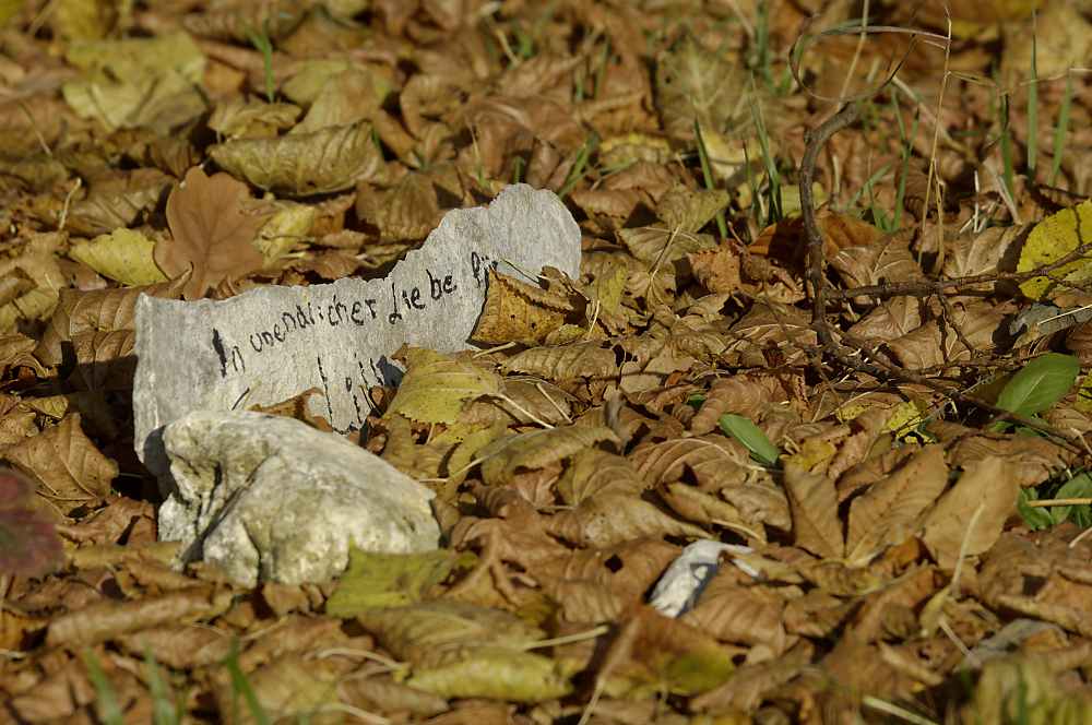 Tiergrab 001-1Erinnerung.jpg