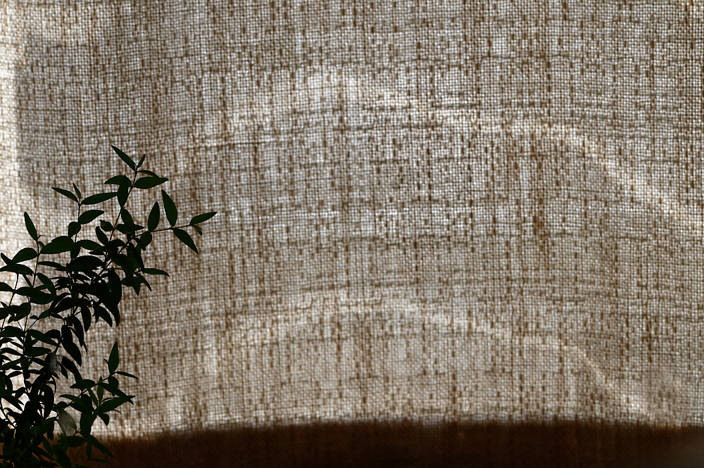 Wabi-Sabi - 10.jpg