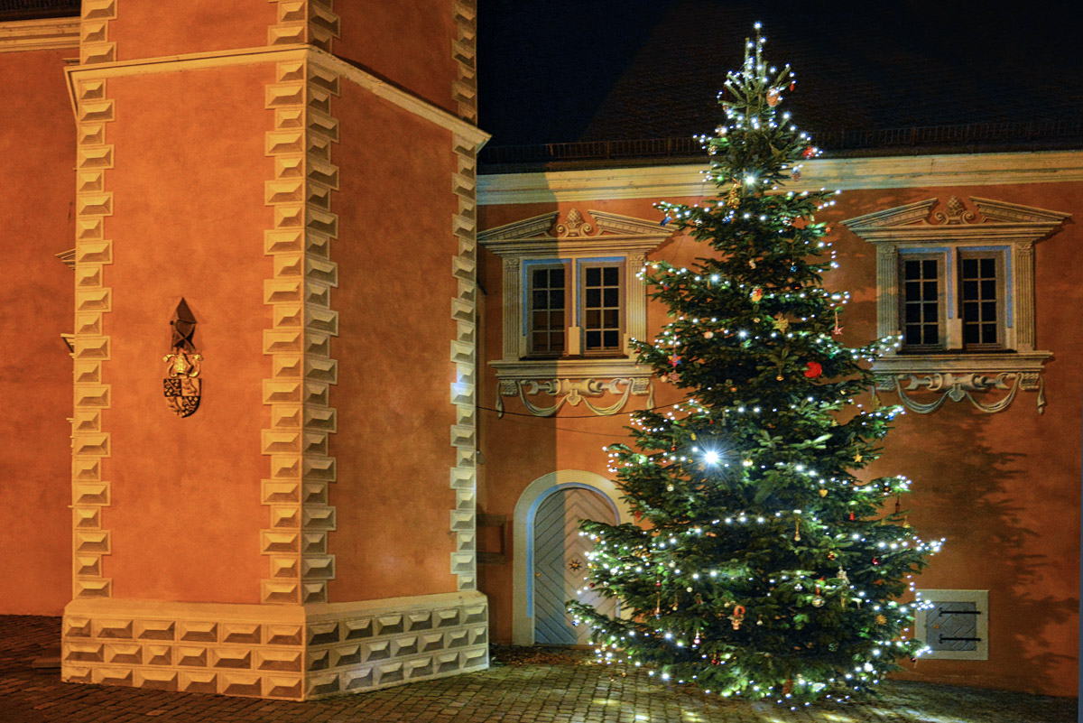 weihnachtsbaum_ladenburg_1200.jpg