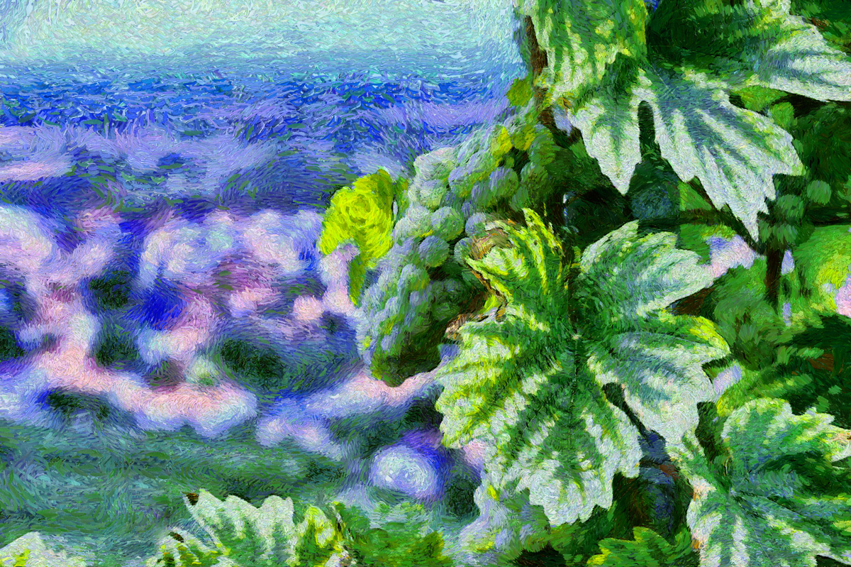 weinberg_Gogh_V7_1200.jpg