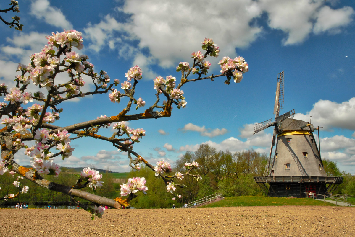 windmühle_hessenpark_1200.jpg