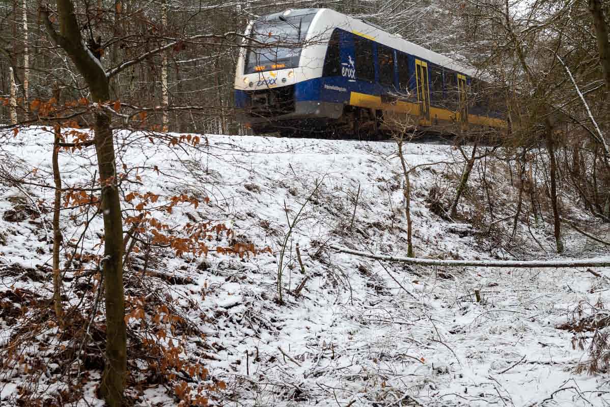 Winter-Erixx.jpg
