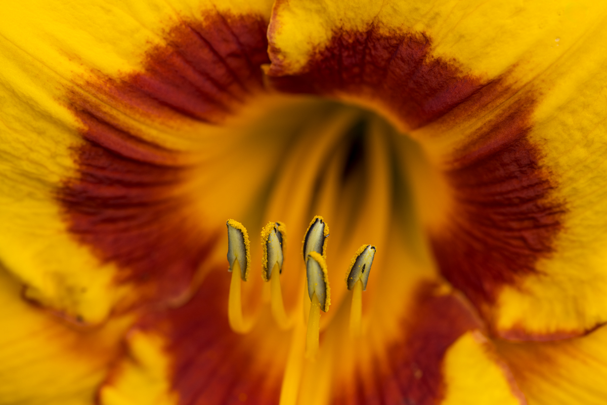 20250627_NZ7_2784vNF.jpg